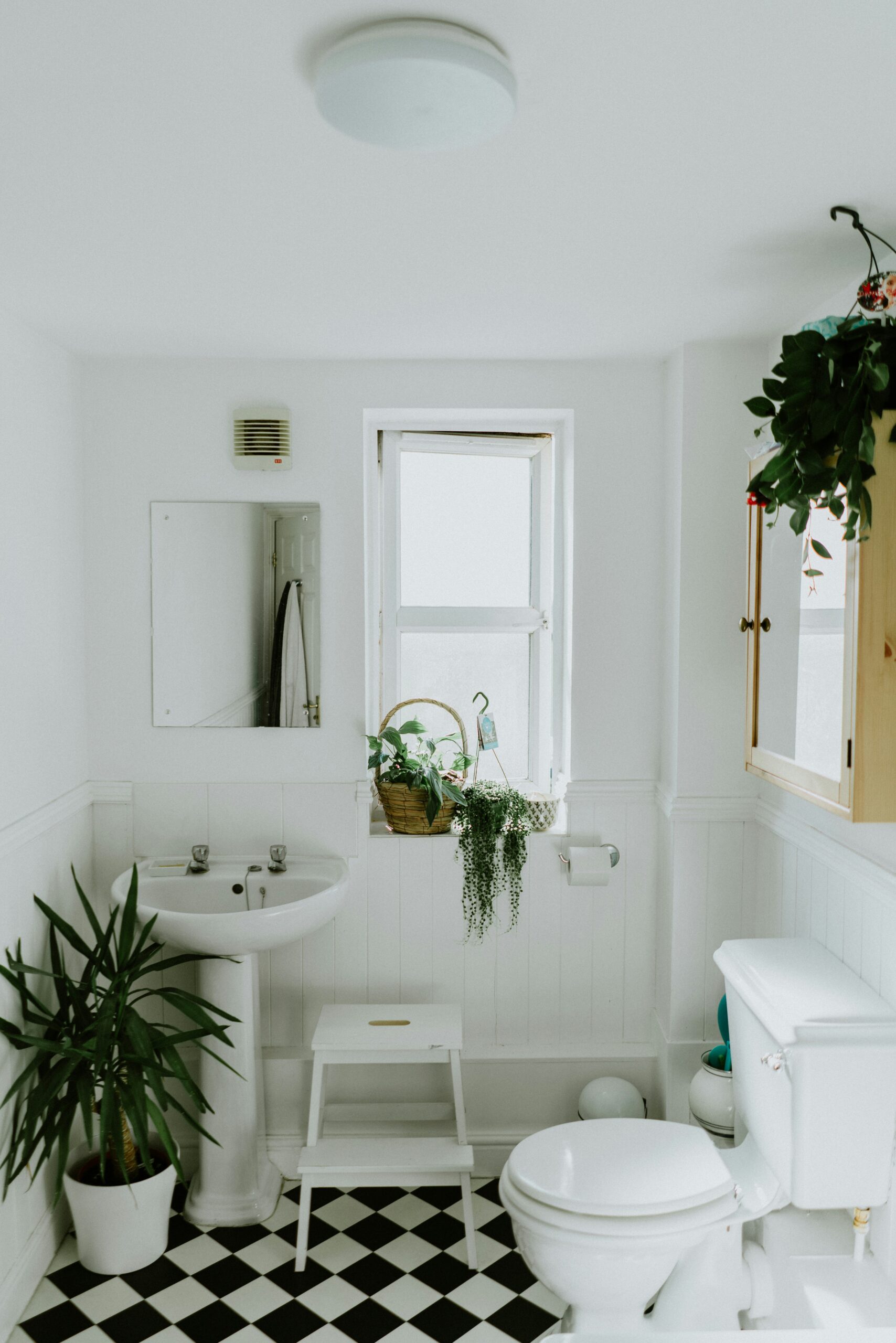 A newly remodeled guest bathroom in a bright white and boho style.